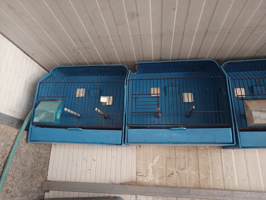 Gaiolas de exposição