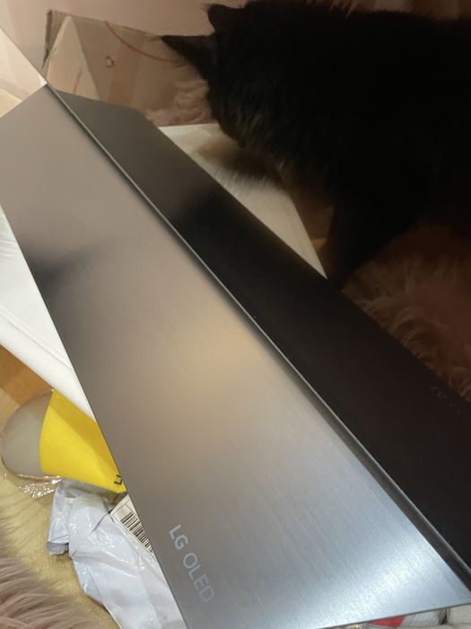 Телевизор LG OLED55B8