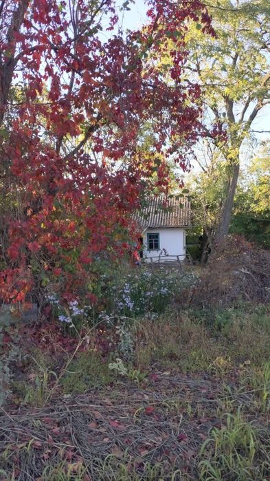 Хата в селі Небелівка