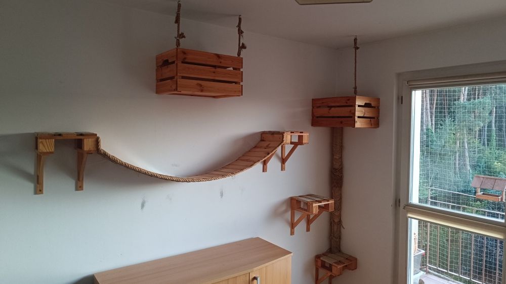 Drapak dla kota, tor przeszkód