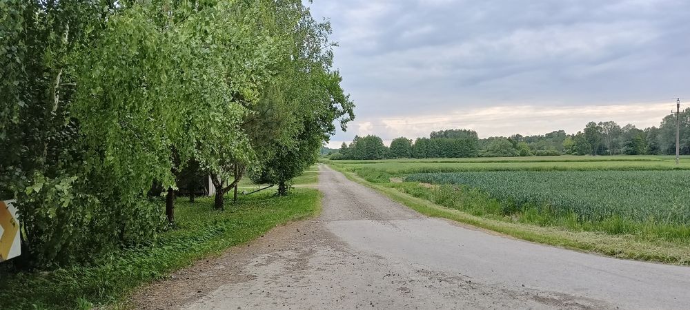 Siedlisko Grabowiec - More
