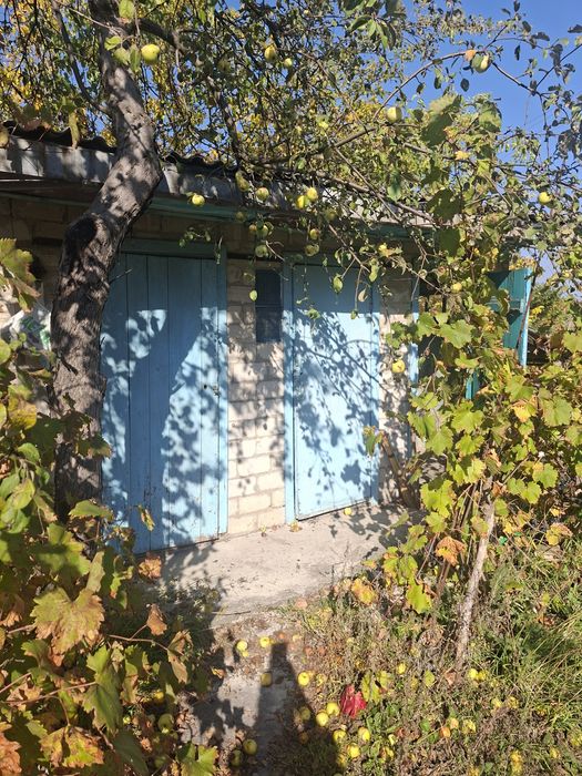 Продаж дачі .садове товариство Зелена долина