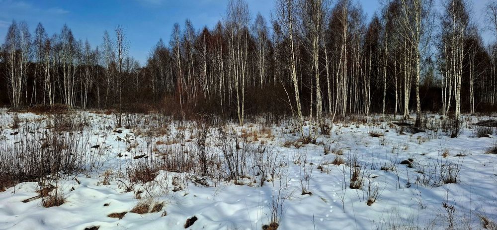 Działka rolno-budowlana 8000 m 55 km od Warszawy