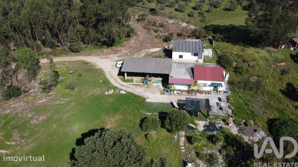 Terreno em Amiais de Baixo