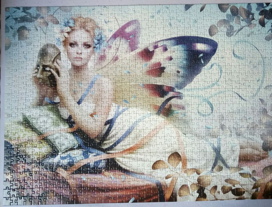 Пазли одним лотом або роздріб