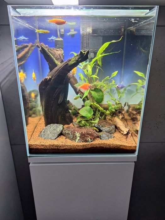 Akwarium 30l + szafka