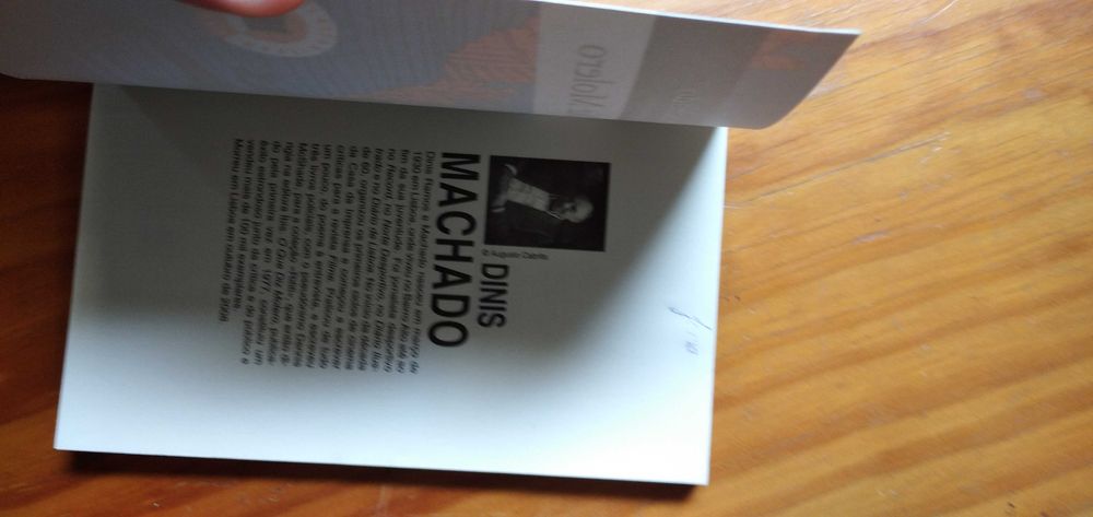 O Que Diz Molero - Dinis Machado