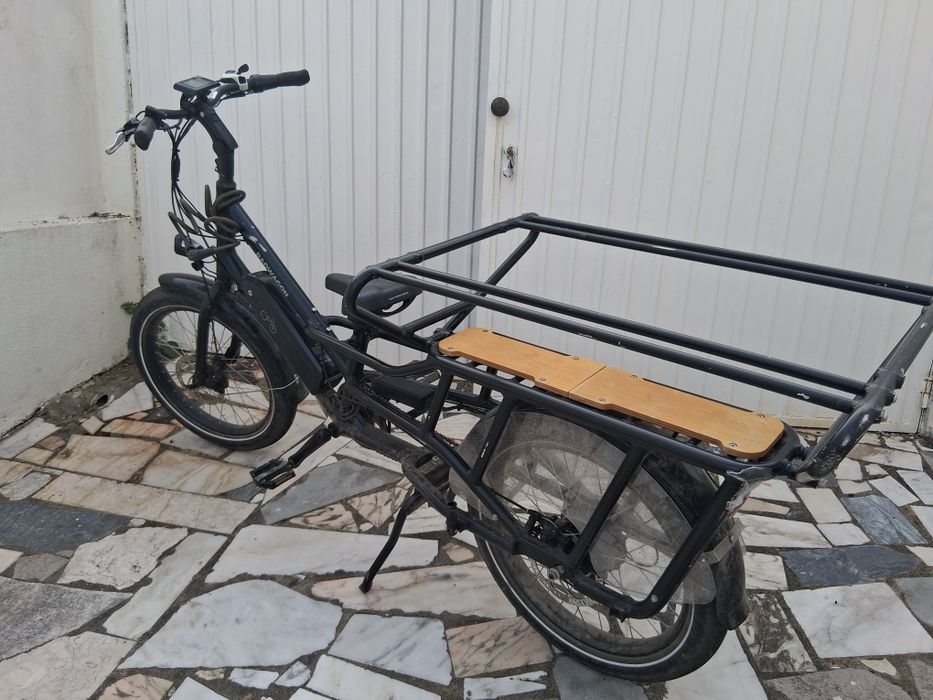 Bicicleta eléctrica Cargo (leva 2 crianças)
