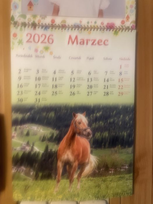 Kalendarz scienny z koniem.