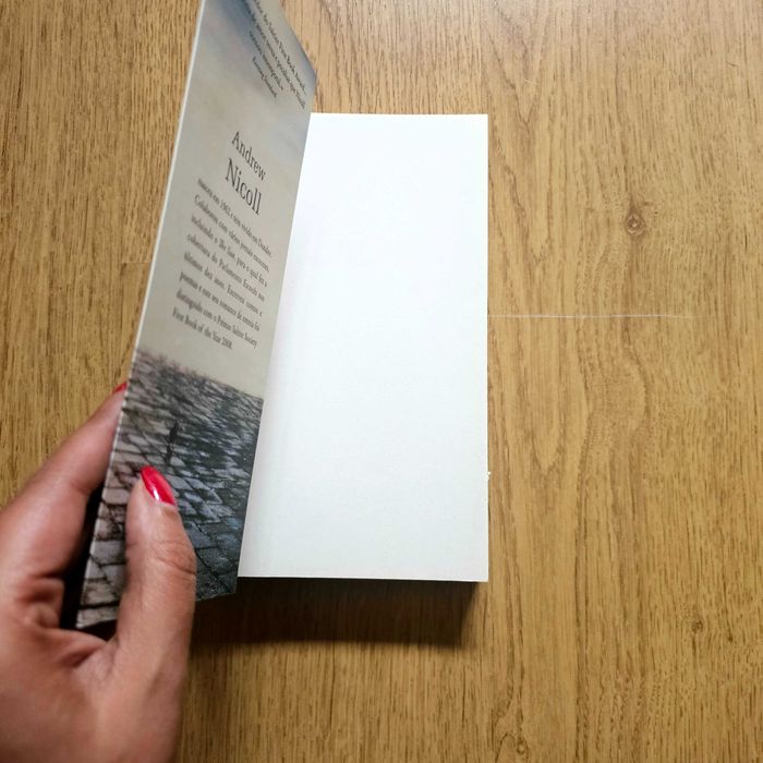 Amor, Ponto e Vírgula