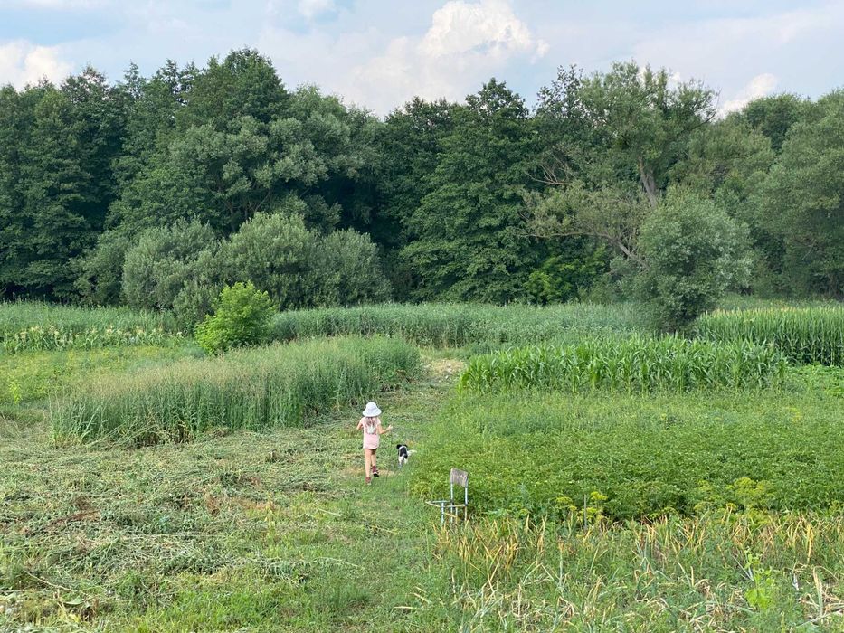 продається будинок