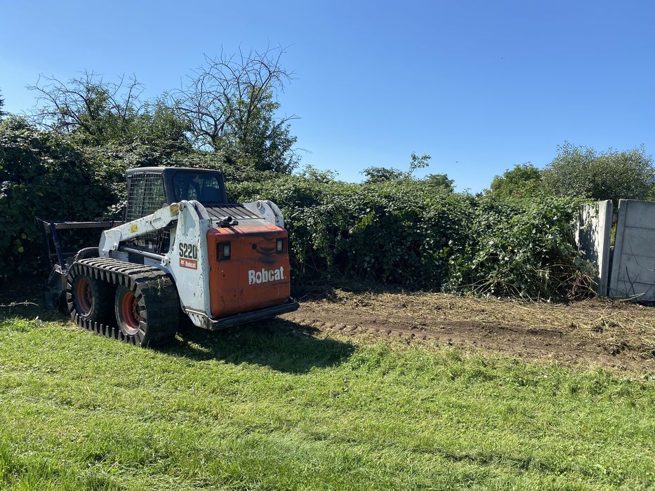 MULCZOWANIE MULCZER oczyszczanie terenu z trawy samosiejek drzew pni
