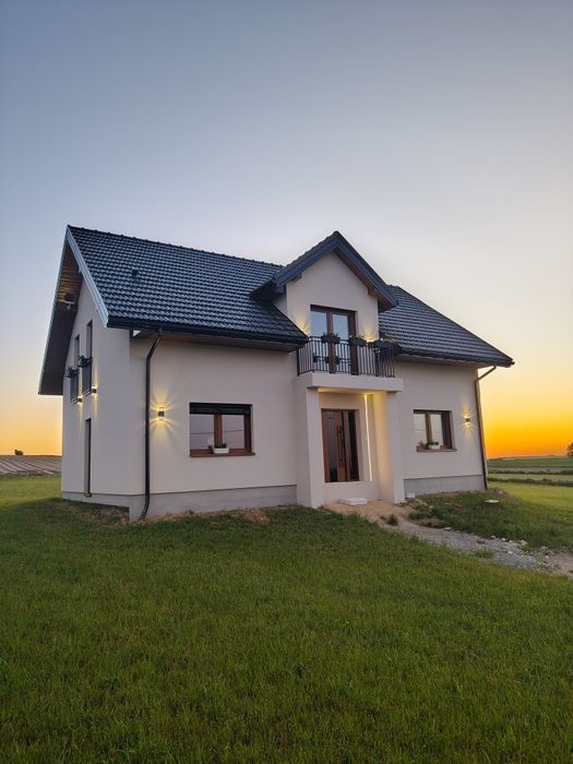 Elewacje i Docieplenia budyknów. (Możliwość samej struktury)