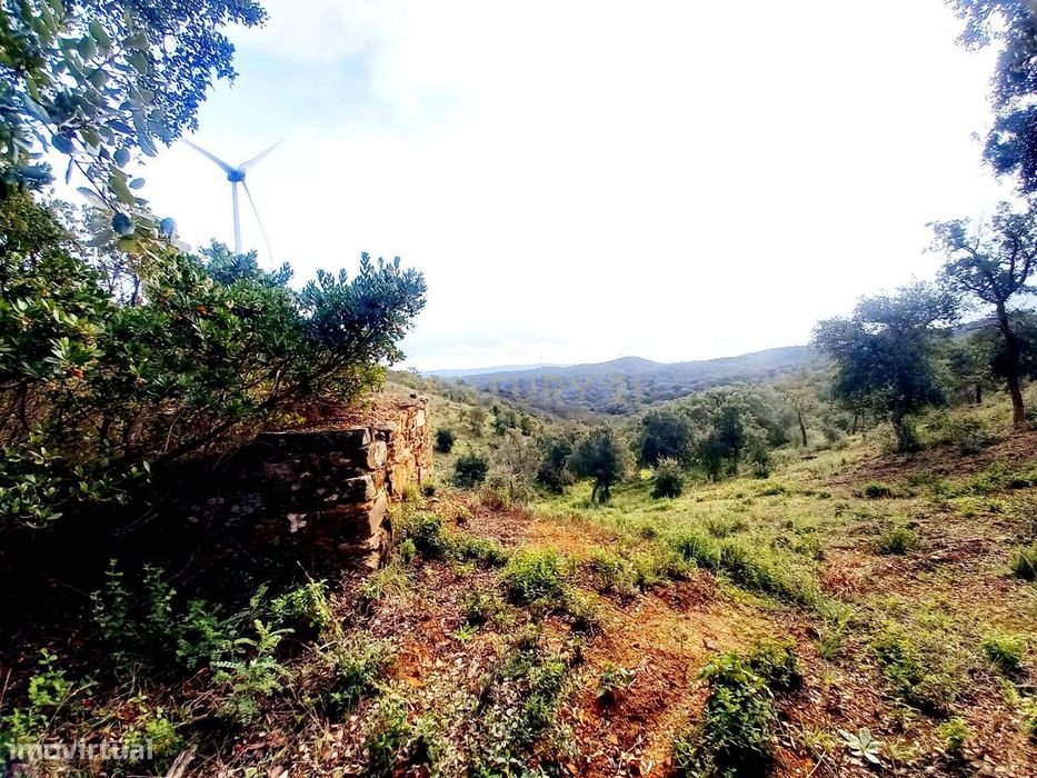 Investimento Rural: 20 Hectares com Rendimento — São Barnabé, Beja