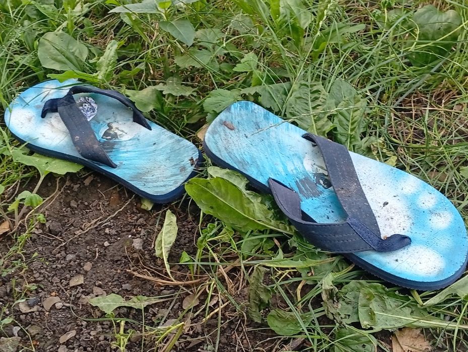 сланцы продам вьетнамки