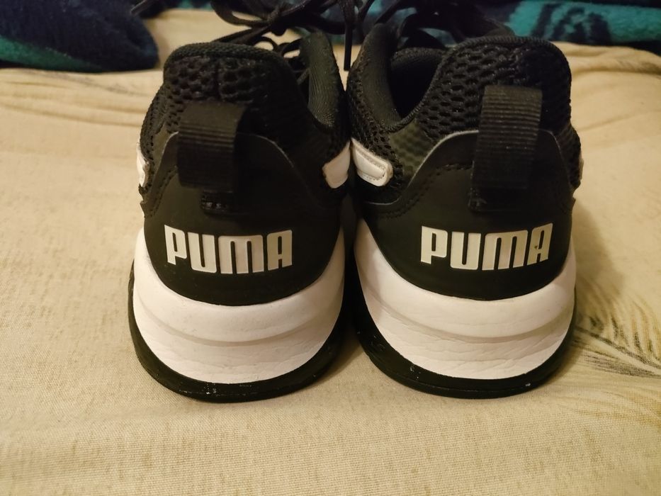 Puma.            .