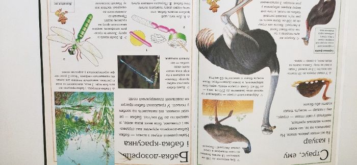 Книга  пізнавальна " Все про тварин"