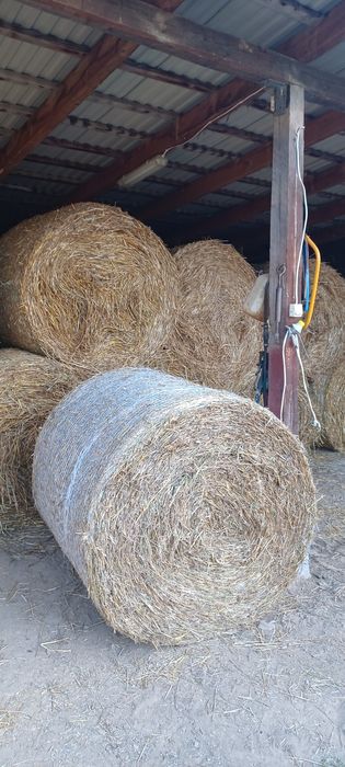Sprzedam slome  siano  transport