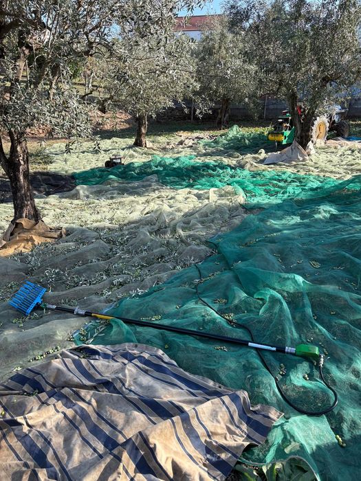 Varejador se azeitona a ar