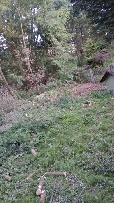 Rozbiórki/Wycinka/Karczowanie/Pracę Porządkowe/Koszenie itp