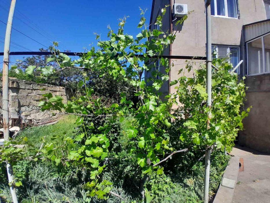 Продається будинок для великрї родини в Центральному р-ні