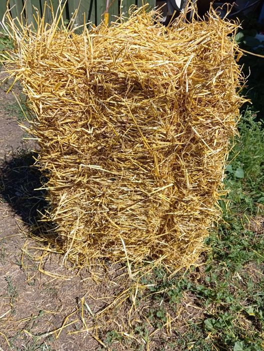 Ячневая солома в тюках