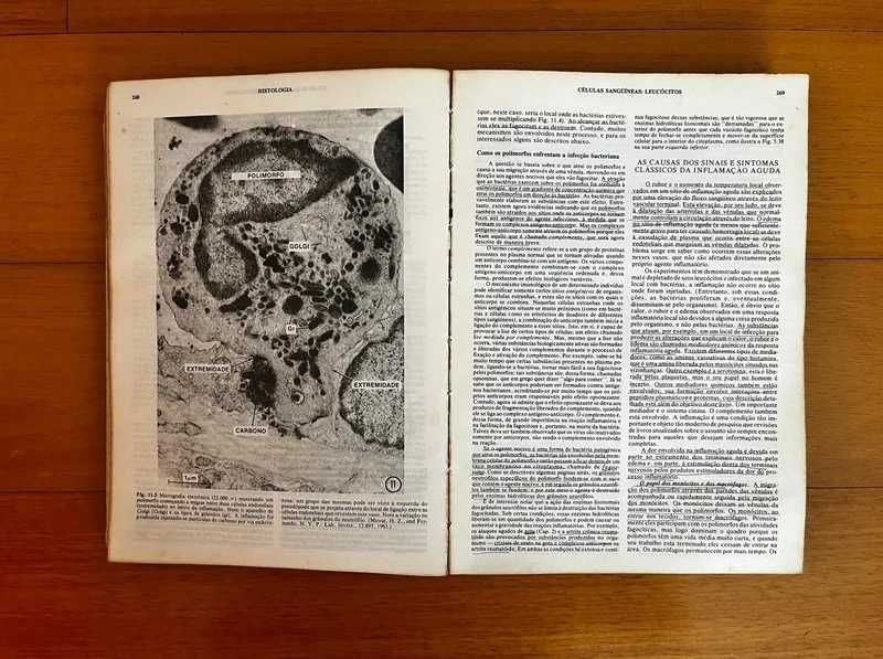 Histologia 8ª Edição