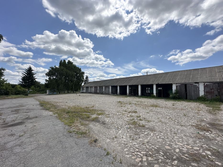 ‼️Продам Ангар, Зерносховище, Склад, с Липовець, Обухівський, Кагарлик