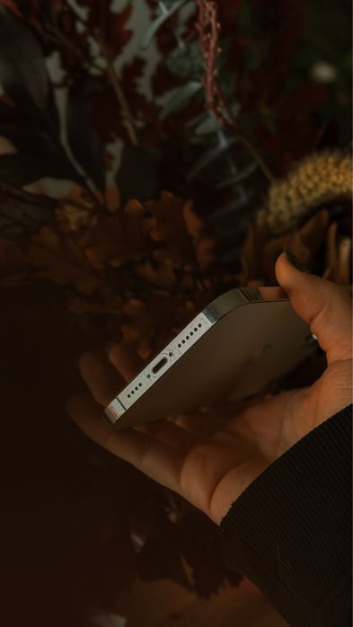 Iphone 12 Pro Max 256gb