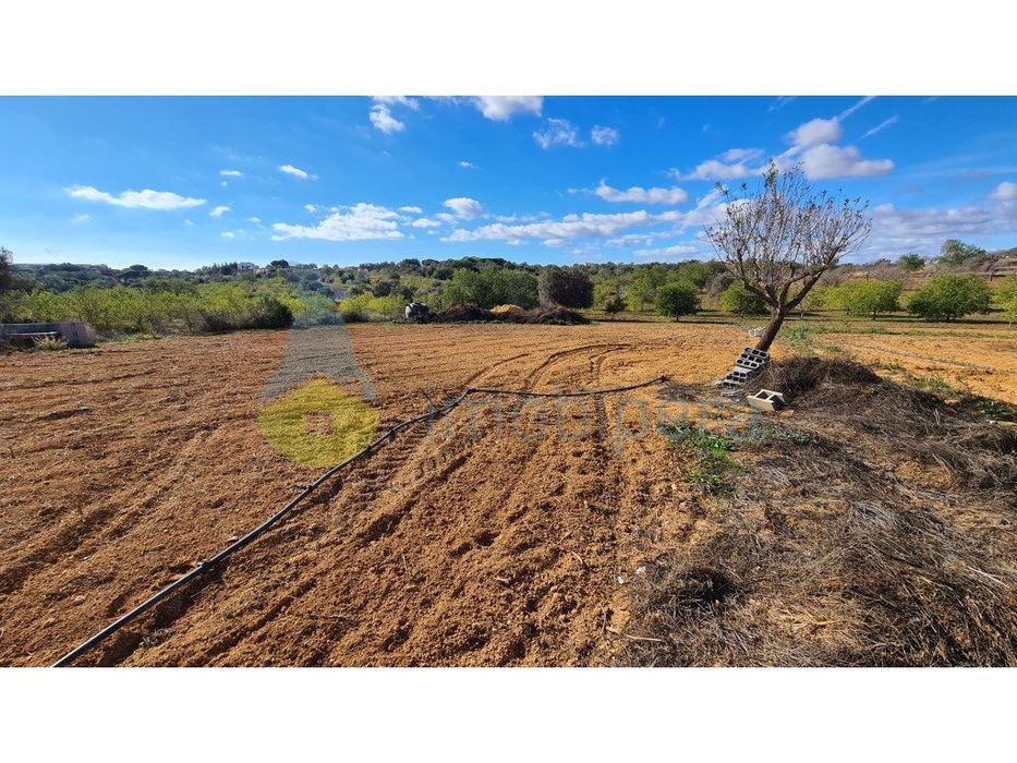 Terreno com 15600m2 em Albufeira, com 10 casinhas amovíveis e com f...