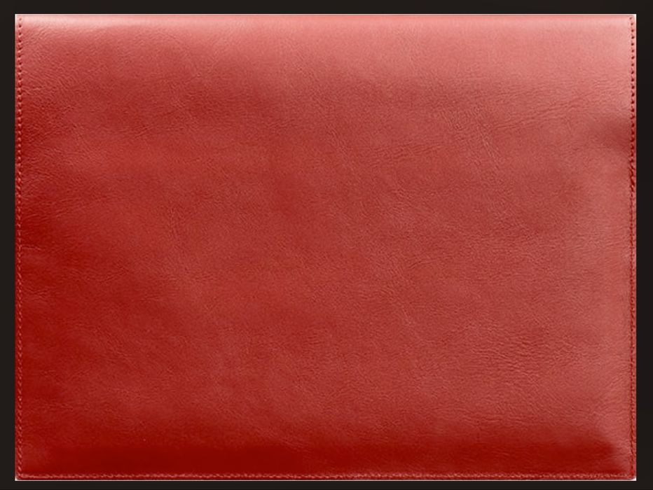 Кожаный органайзер BlankNote BN-DC-1-red