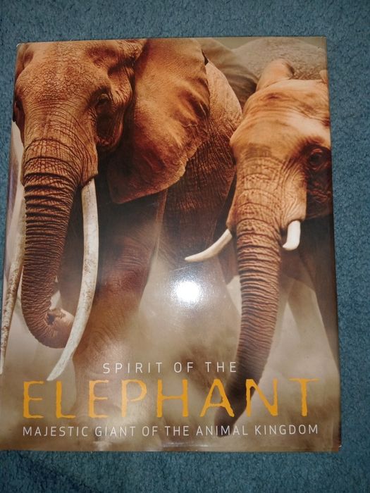 Книга на английском о слонах
