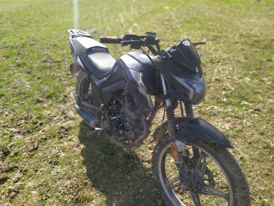 Мустанг фортуна 200