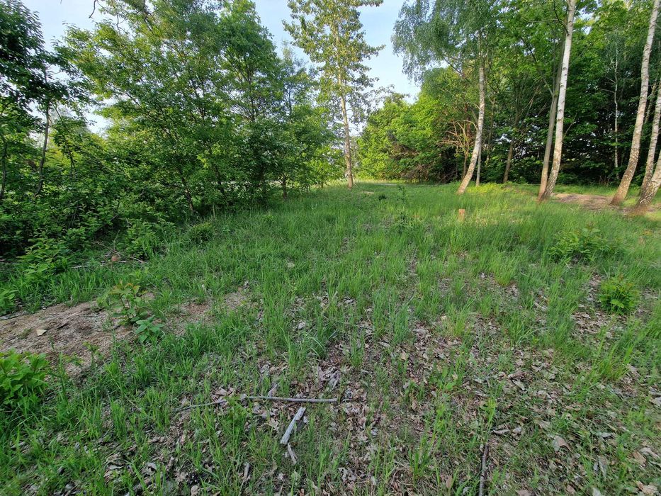 sprzedam działkę usługowo-produkcyjną Poniatowice przy trasie nr 8 - Widok 2