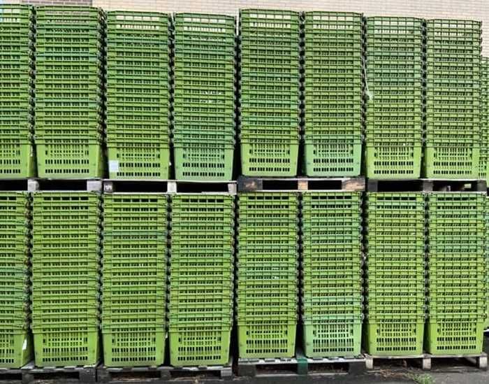 Pojemnik Skrzynka Plastikowa Kosz Box Magazynowy Transportowy Kuweta