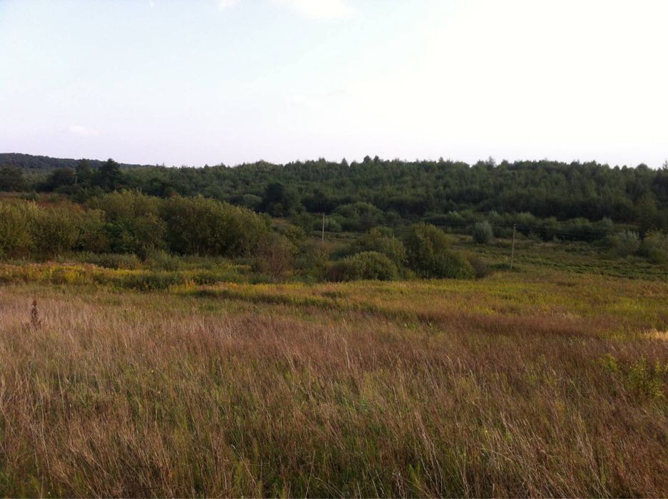 Продаж ділянки с.Добощівка , Мостищина