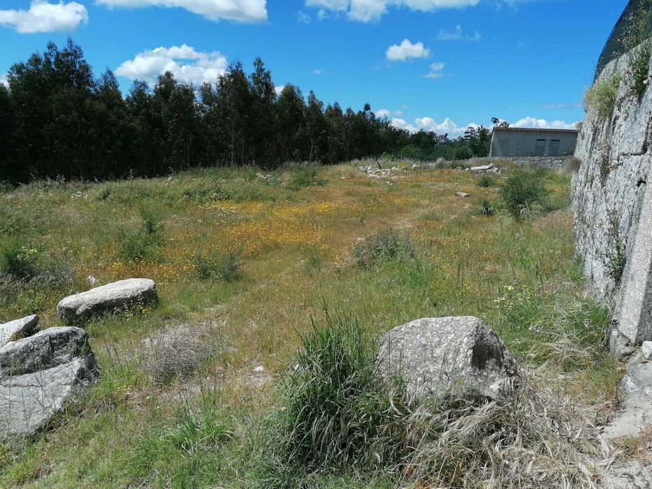 Vendo terreno construtível em Fafe
