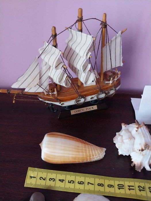 Ракушки  мушлі морські, океанічні. Камни, камешки