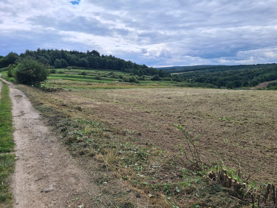 Koszenie łąk, nieużytków,  trawników, Glebogryzarka, Prace polowe