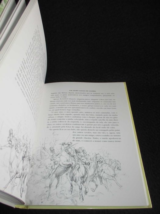 Livro Beleza Negra Anna Sewell Ambar