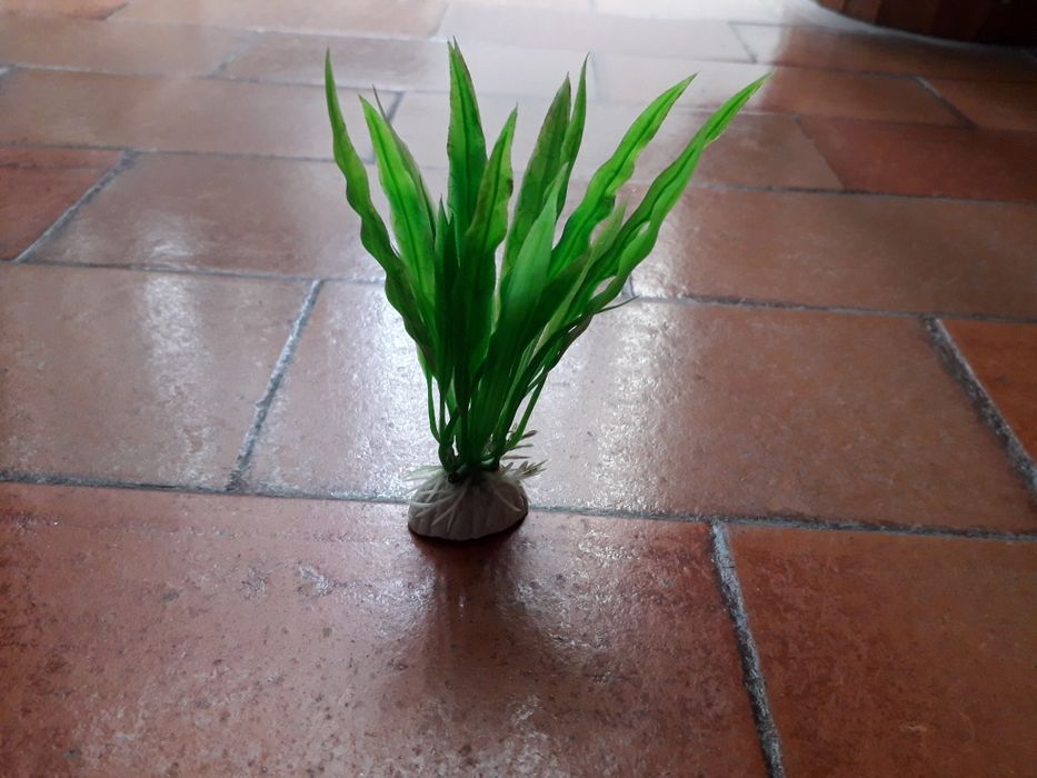 Decoração de Aquário