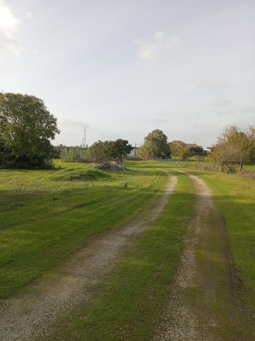 Terrenos 250m2 ,5mil euros de entrada