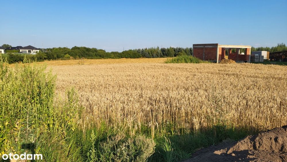 Działka 836m, Ostrów Wlkp Śliwkowa, Nowe osiedle, Dostępne media, MPZP - Widok 3