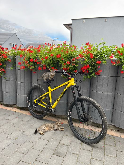 COMMENCAL META HT AM 2017 dirt dh enduro jibber