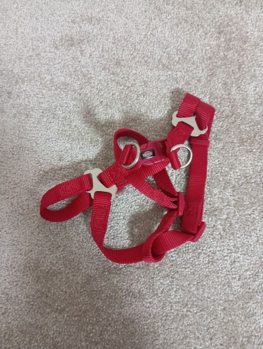 Нашийники, поводки, шлеї, щітки