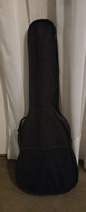 Viola com bolsa transporte