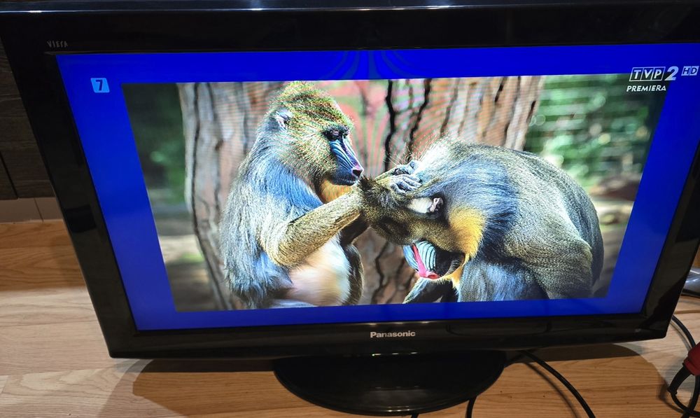 Telewizor Panasonic Viera