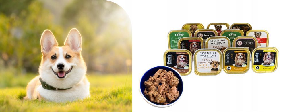 66X150G  Karma Dla Psa Tacka Mix Wyprzedaż