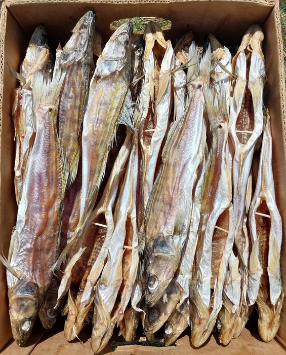 Судак вяленый сушеный чищеный потрошеный: 490 грн. - Продукты питания ...