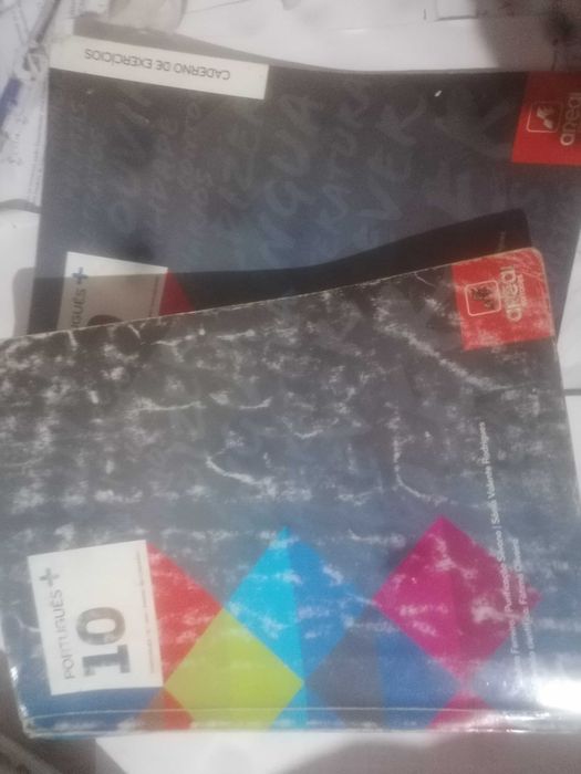 Livro de Português "Português +" 10º Ano Areal Editores